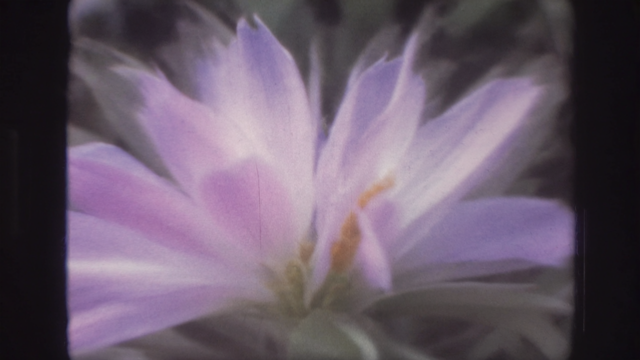 Comprehensive audit logs