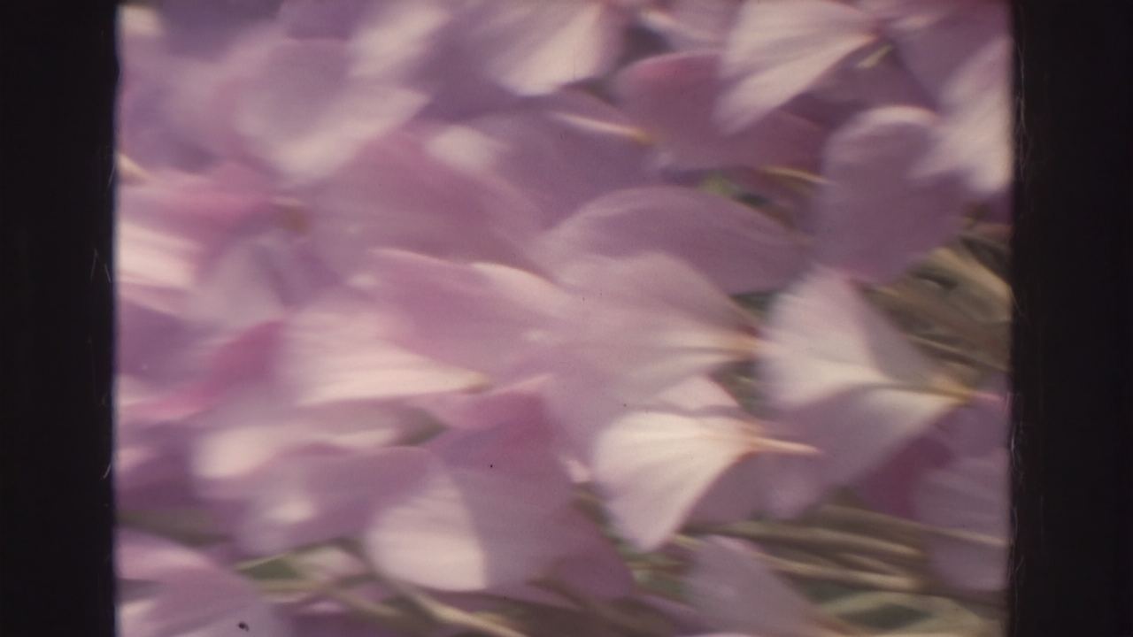 Private intelligence